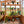 11x7 Poppy Greenhouse – view 8