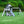 Canyon Creek Swing Set – White – Swing Set