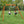 Heavy-Duty Durango Swing Set – Swing Set