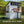 Caraway Cottage - White – view 3