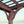 14x10 Somerville Pergola - Walnut Stain – view 7