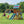 Beach Front Swing Set – Swing Set
