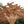 16x12 Beaumont Pergola – view 5