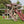 Fantasy Fortress Package #F514-6