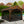 Mosquito Kit-12x10 Norwood – Gazebo Accessorie