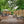Privacy Wall Add-on Kit – view 3