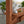 14x10 Ashland Pergola – view 7