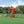 Skyfort II Swing Set – Swing Set