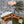 10x10 Norwood Gazebo – view 3