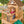 Edgewood Swing Set – view 4