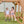 Caribbean Swing Set – view 5