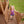 Caribbean Swing Set – view 3