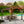 14x12 Norwood Gazebo – Gazebo