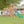 Caribbean Swing Set – Swing Set