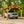 20x12 Norwood Carport/Gazebo – Gazebo