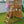 Fall River Swing Set – view 8