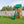 Fall River Swing Set – Swing Set