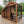 Animal Enclosure – Animal Enclosure