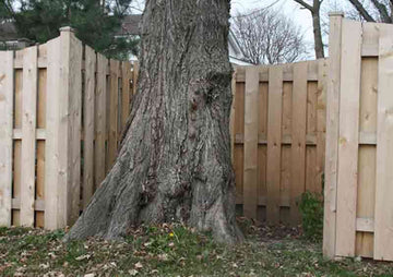 wood-gallery21.jpg