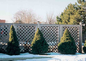 wood-gallery9.jpg