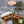 24x12 Norwood Carport/Gazebo – view 3