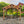 14x10 Norwood Gazebo – view 8