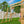 Edgewood Swing Set – view 3