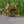 20x12 Norwood Carport/Gazebo – view 8